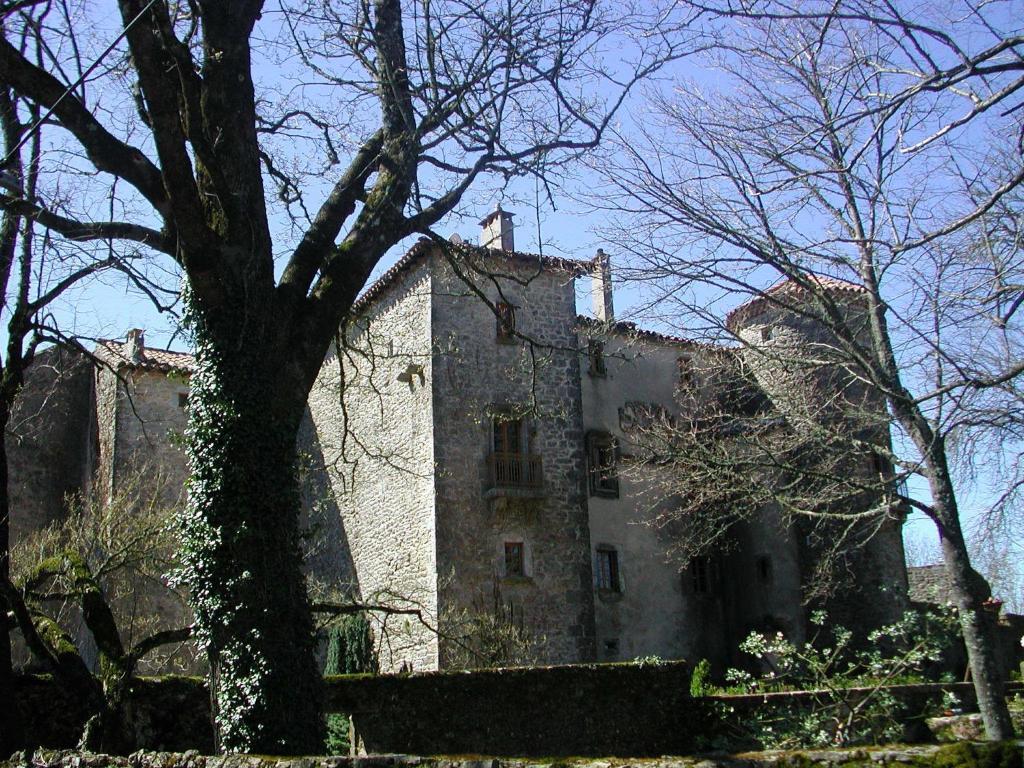 Chateau Du Cros Le Cros Exterior foto